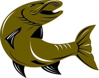 Muskie muskellunge balık retro