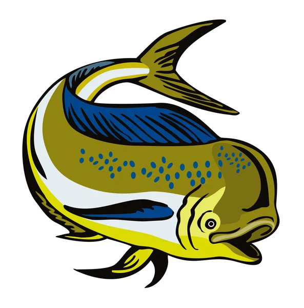 Mahi-mahi de Dorado Dauphin fsh — Image vectorielle