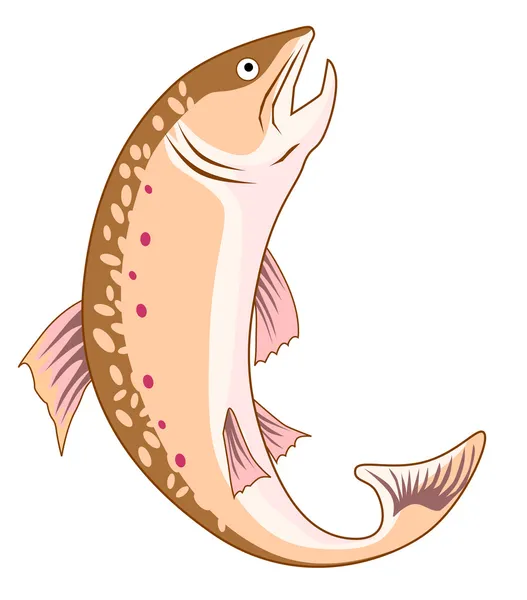 Trout Fish Retro — Stock Vector