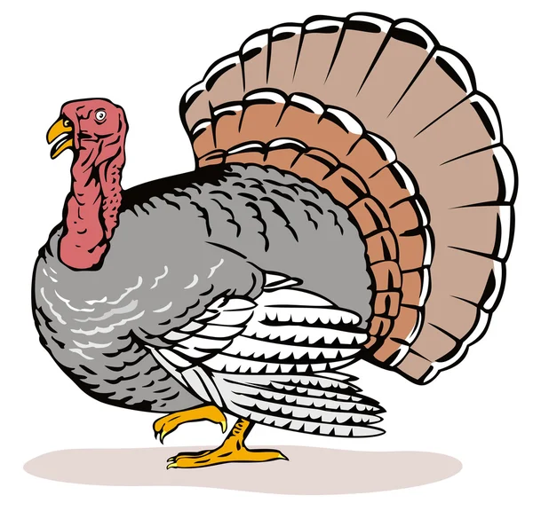 Wild Turkey Retro — Stok Vektör