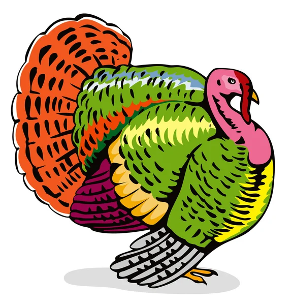 Wild Turkey Rétro — Image vectorielle