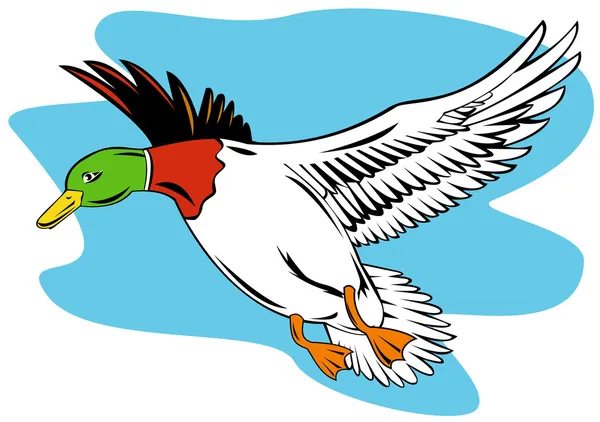 Mallard pato volando — Vector de stock