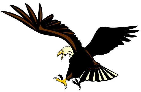 Bald eagle vliegen — Stockvector