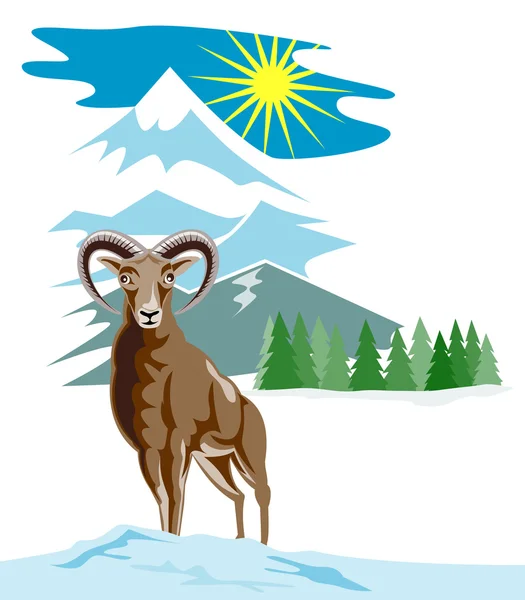 Mouflon Sheep Mountain Goat — Stock Vector