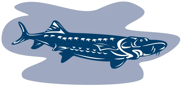 Sturgeon Fish Retro — Stock Vector