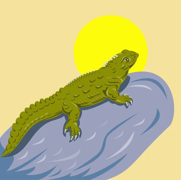 Nouvelle-Zélande Tuatara Retro — Image vectorielle