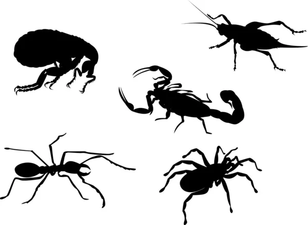 Vlo cricket mier spin Schorpioen insect — Stockvector