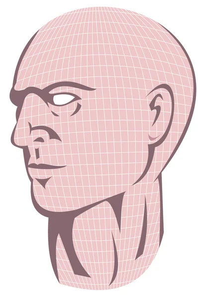 Férfi emberi fej ráccsal — Stock Vector