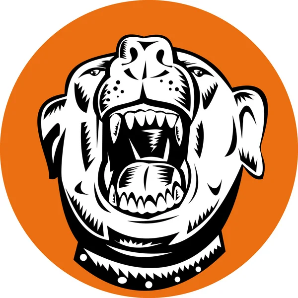 Angry mongrel dog — Stock Vector