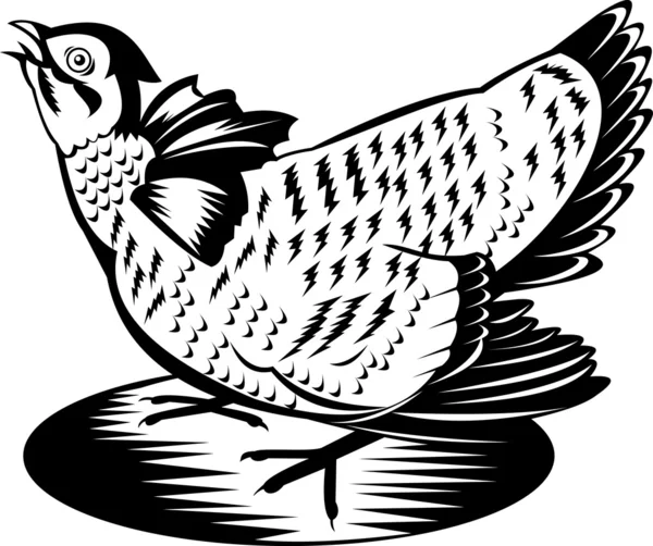 Kura kurczak Prairie retro — Wektor stockowy
