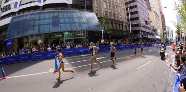 2012 İTÜ dünya triatlon grand finale auckland Yeni Zelanda