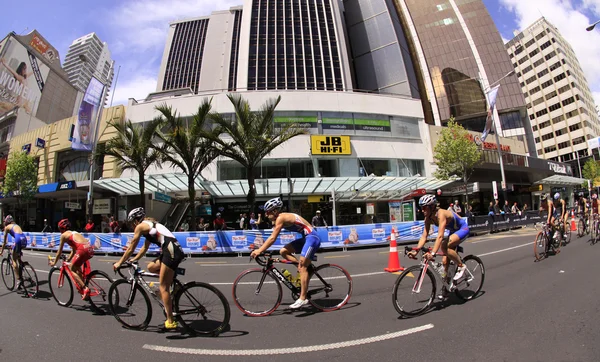 2012 Grandes Finales del Triatlón Mundial de la UIT Auckland Nueva Zelanda — Foto de Stock