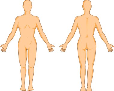 insan anatomisini gösteren bir kadın ayakta