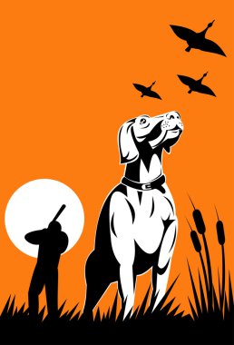 retriever köpek av tüfeğiyle nişan avcı