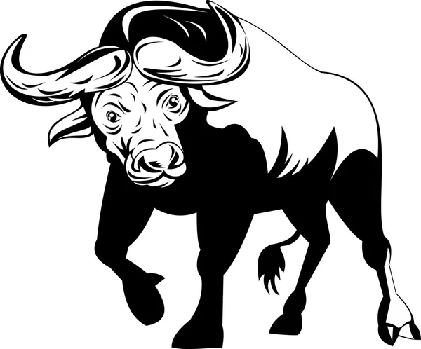 Toro africano atacando — Vector de stock