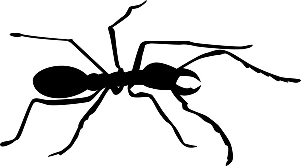 Силуэт муравья — стоковый вектор