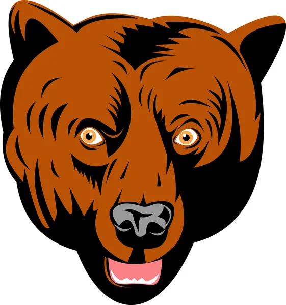Grizzly oso marrón cabeza frente a frente — Vector de stock