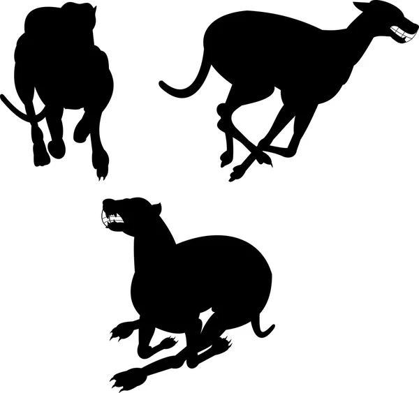 Siluet balap anjing Greyhound - Stok Vektor