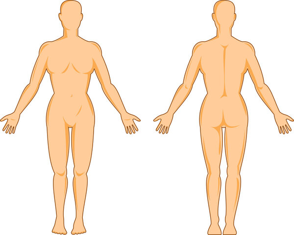 human anatomy showing a female standing