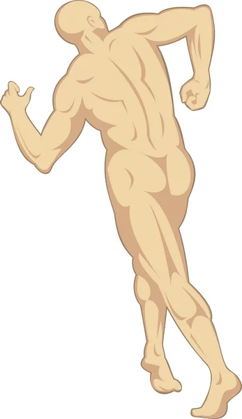Insan anatomisini gösteren bir erkek yürüyüş — Stok Vektör