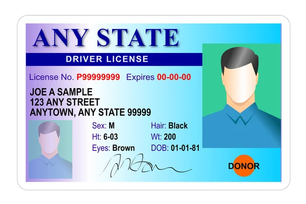 Generic male state driver license — Stock Photo, Image