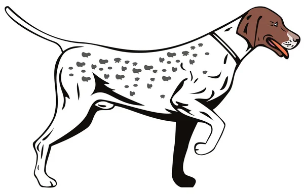 Собака вказівник вид збоку Ретро — стоковий вектор