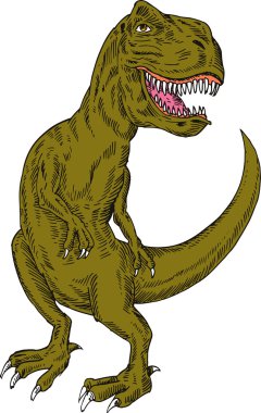 t-rex dinozor