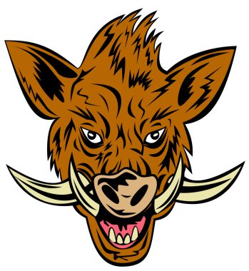 yaban domuzu yaban domuzu kafası