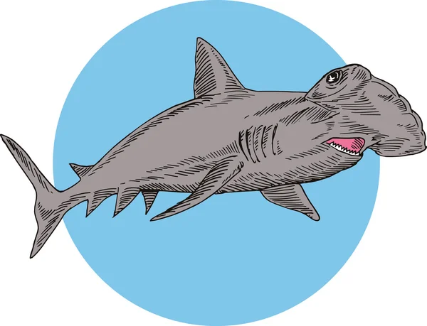 Hammerhead haai zwemmen — Stockvector