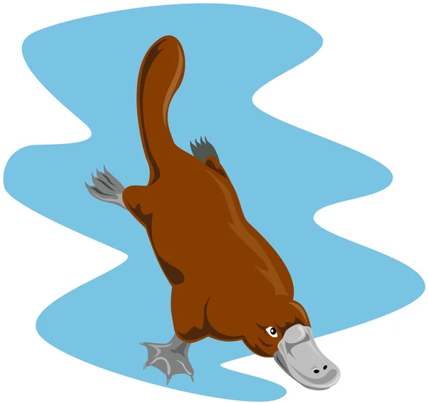 Platypus Diving — Stock Vector