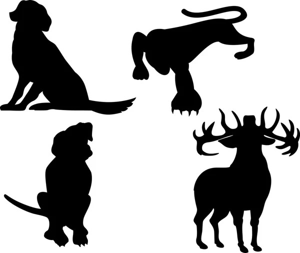 Dieren in het wild silhouetten — Stockvector