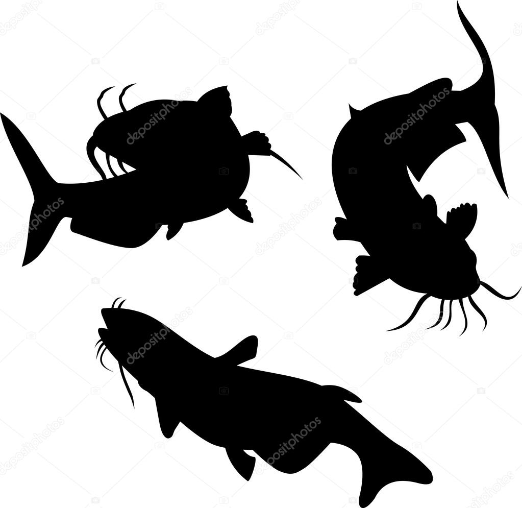 Poisson Chat Images Vectorielles Poisson Chat Vecteurs Libres De Droits Depositphotos Poisson Chat Images Vectorielles Poisson Chat Vecteurs Libres De Droits Depositphotos
