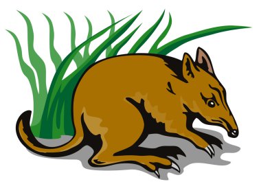 Bandicoot Bush Retro