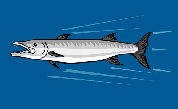 Barracuda rétro — Image vectorielle