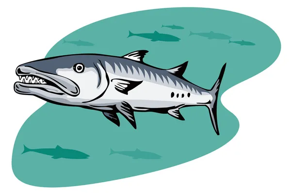 Barracuda Retro — Stock Vector