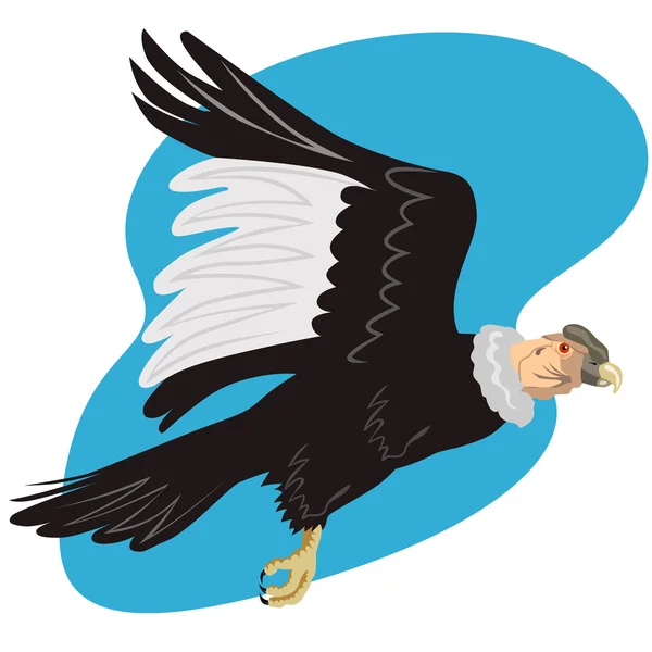 Condor under flygning — Stock vektor
