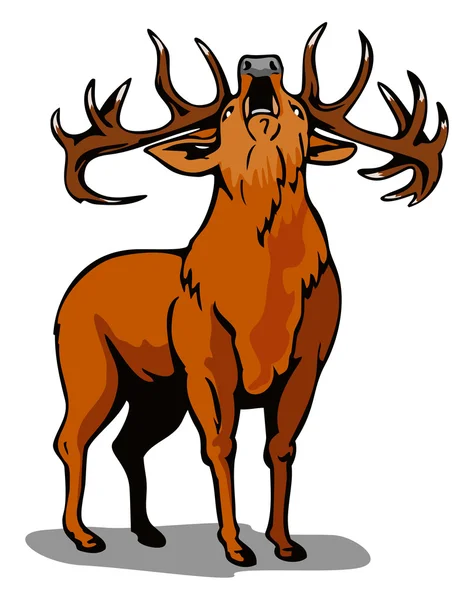 Deer Roaring — Stock Vector