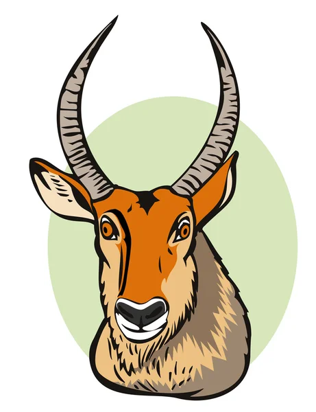 Defassa waterbuck — Vetor de Stock