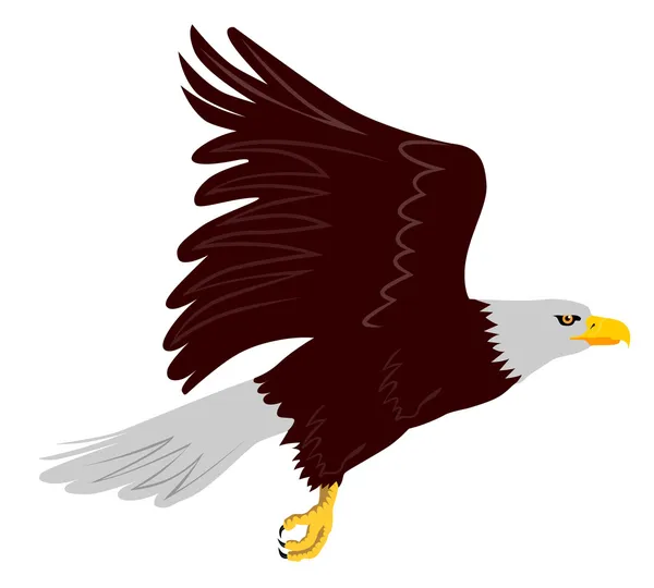 Águila calva volando — Vector de stock