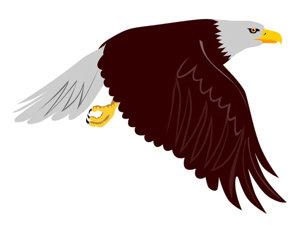 Bald Eagle Flying — Stock Vector