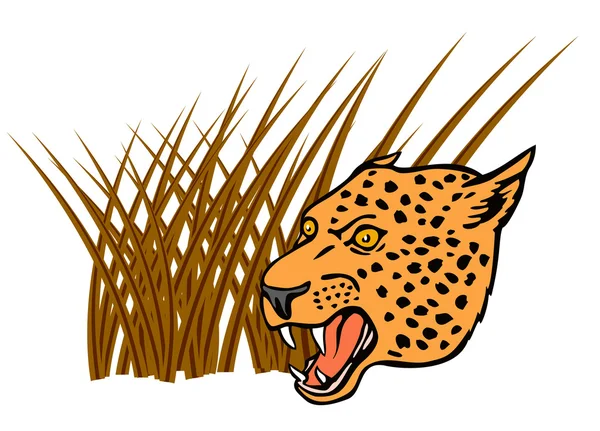 Cabeza de leopardo — Vector de stock