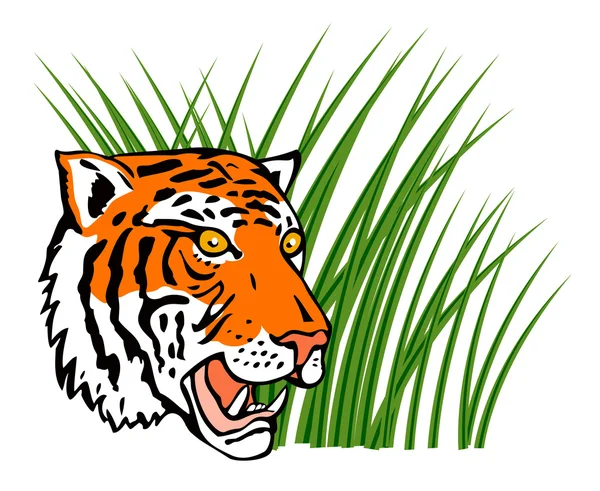 Tiger Head — Stock Vector