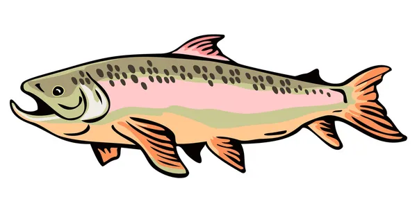 Pescado de trucha Retro — Vector de stock