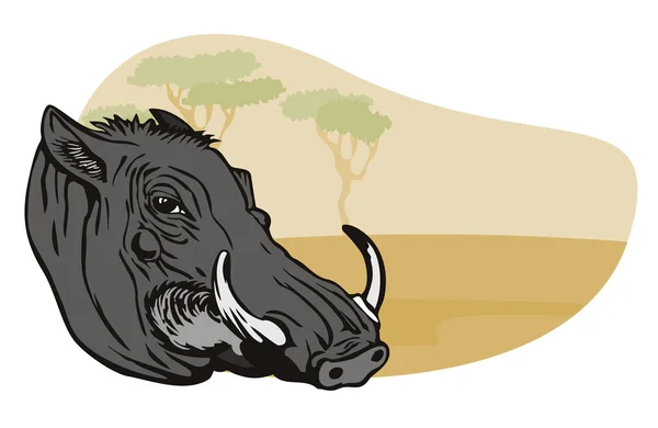 Warthog Head — Stock Vector
