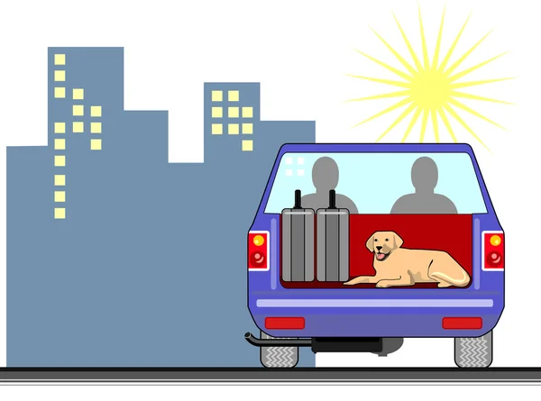 Hund i en bil — Stockfoto