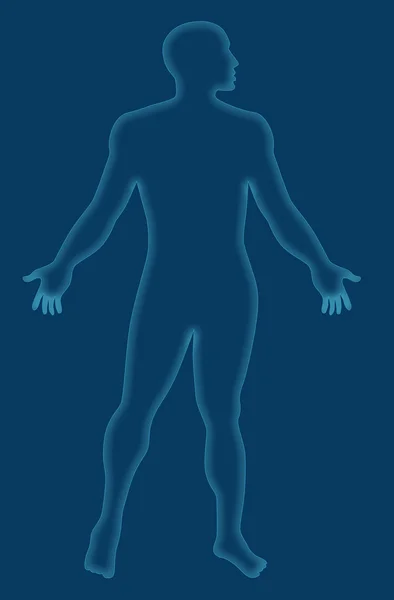 Esquema de anatomía humana masculina Azul — Foto de Stock