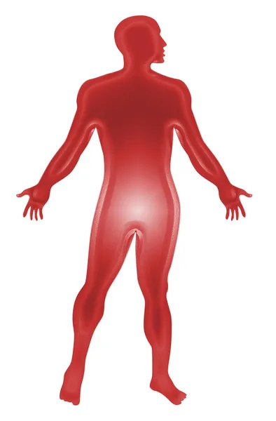 Mannelijke anatomie overzicht rood — Stockfoto