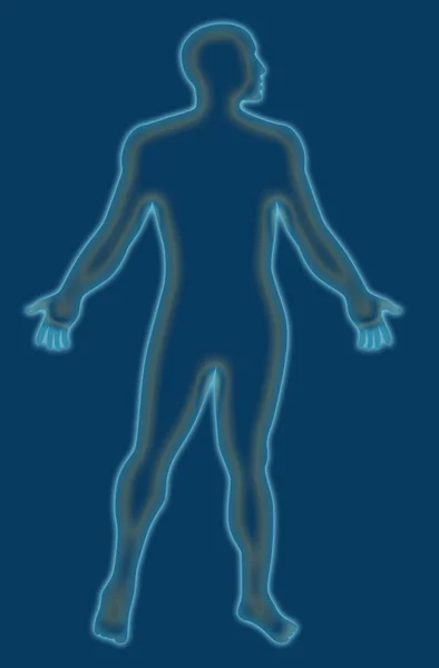 Αρσενικό ανθρώπινη ανατομία περίγραμμα μπλε — Φωτογραφία Αρχείου