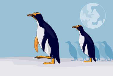 Sarı gözlü penguen