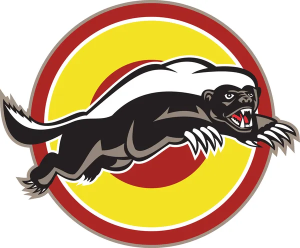 Honey badger maskot skákat kruh — Stockový vektor